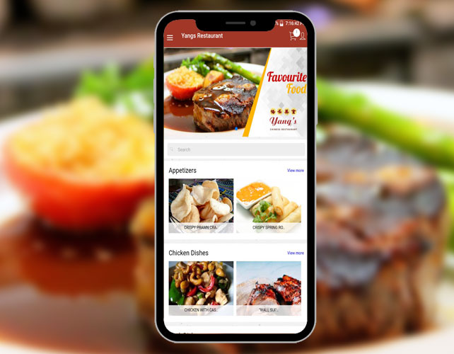 Chinese Restaurant Iphone App